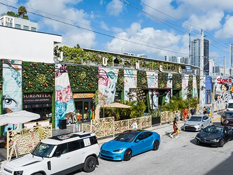 Wynwood Jungle