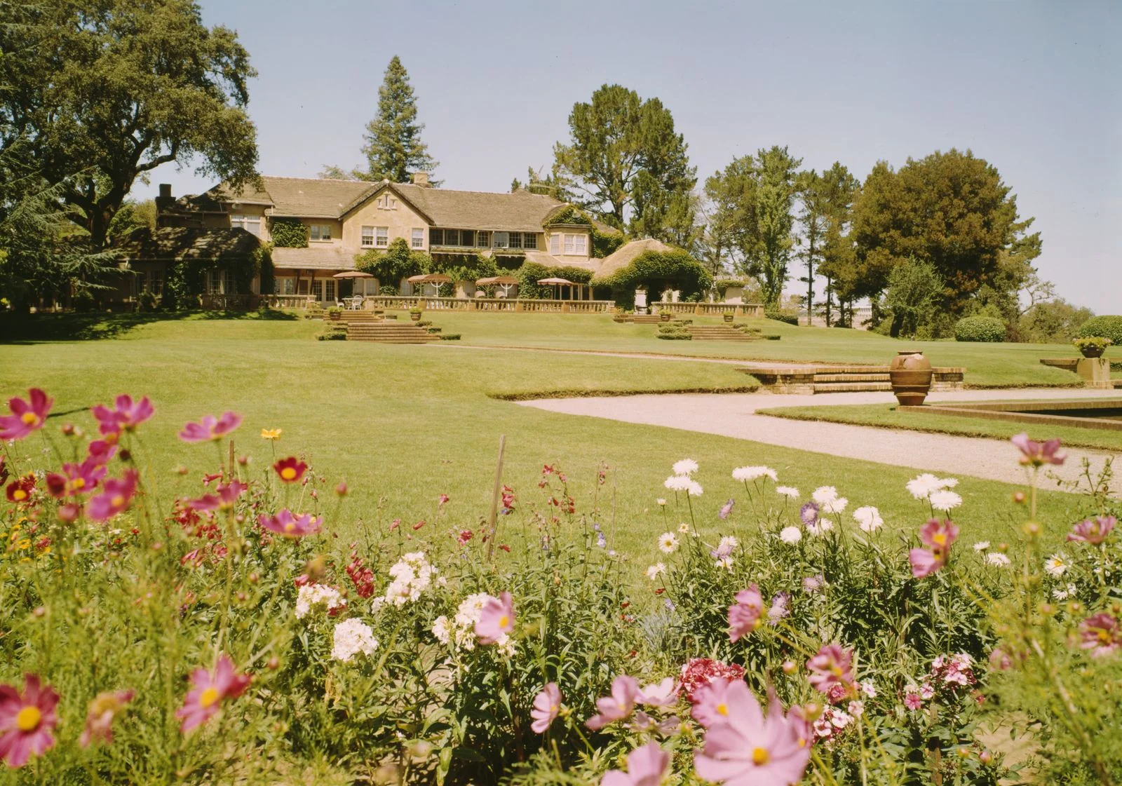 Image may contain Grass Plant Field Nature Outdoors Vegetation Architecture Building Shelter Tree and Lawn