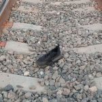 Sobre las vías del tren