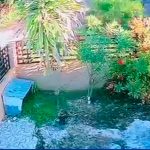 Momento en que un enorme tanque de agua colapsó