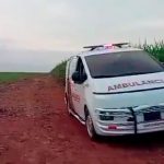 Salvadora
