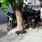 Los gritos de auxilio de la víctima alertaron a dos policías